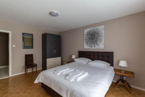 Fantastic 1 BR flat, city center, near lake - SF15